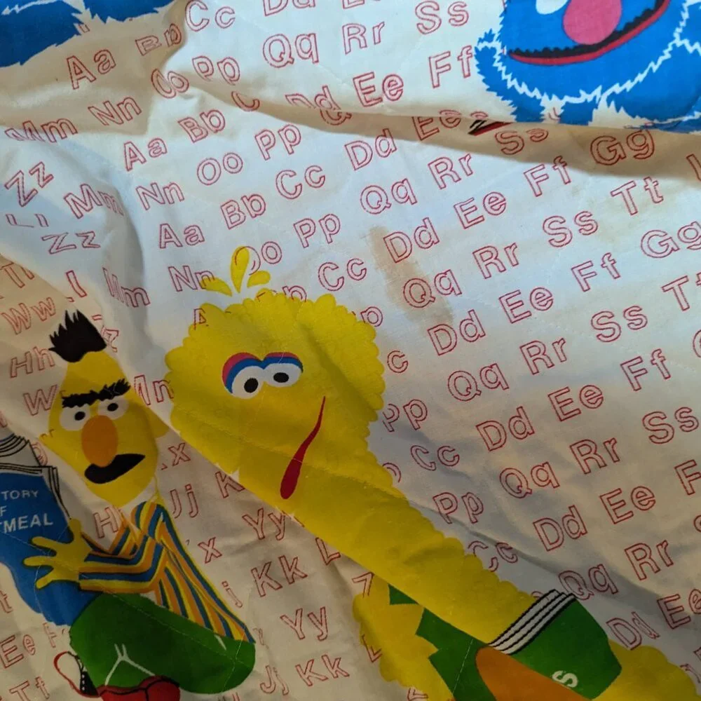 Vintage Burlington Ind. Sesame Street Quilted Blanket Rare 107